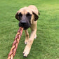6" Braided Bully Sticks (10-Pack)