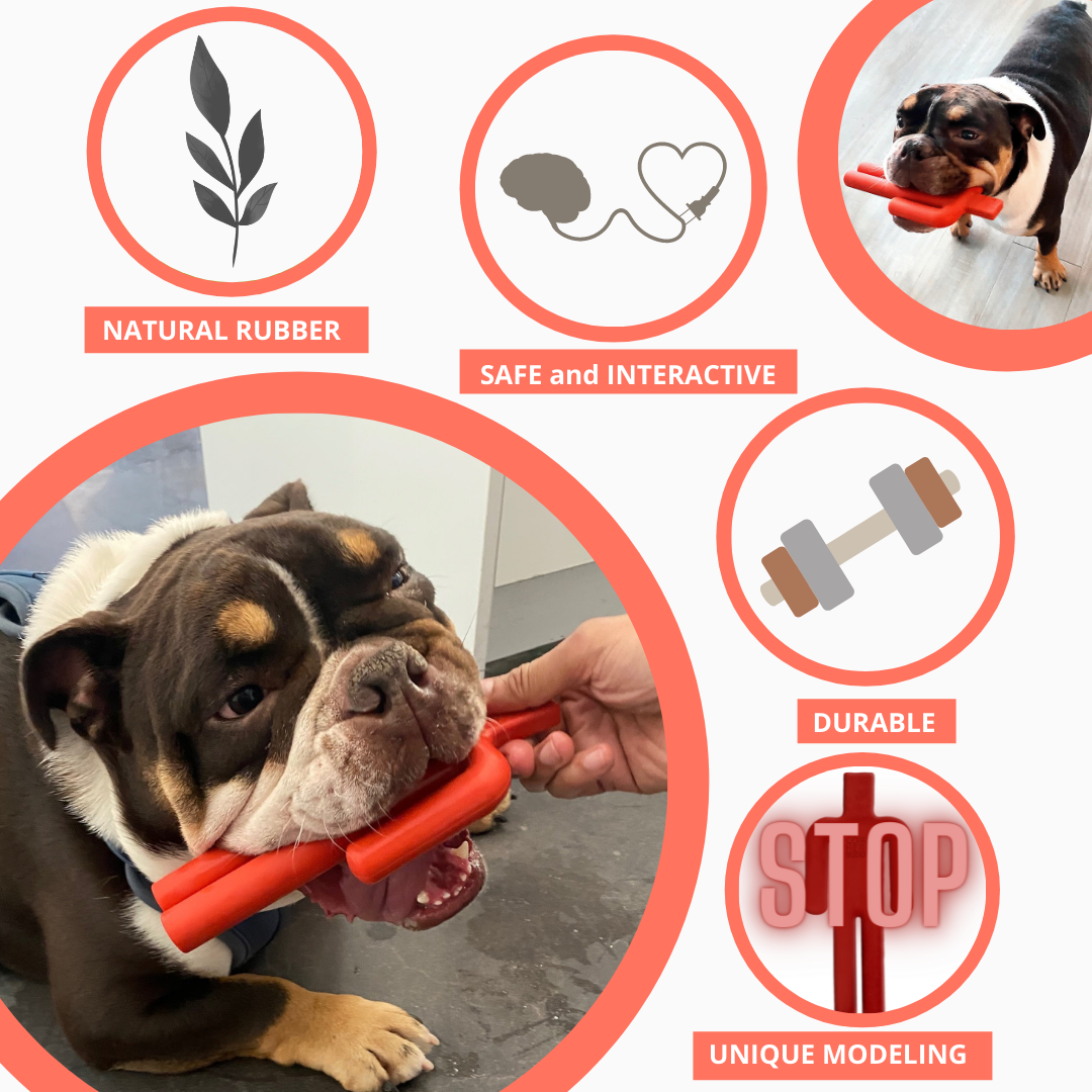 Dog Chew Toy