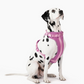 Harness