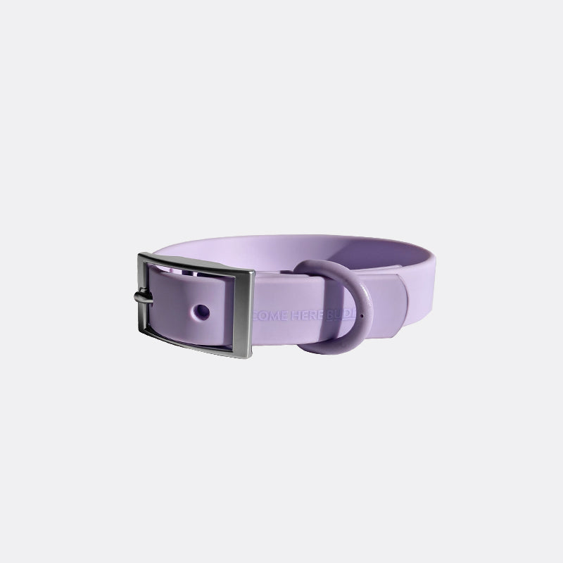 Everyday Collar