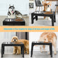 Top 10 Elevated Dog Bowl Stands with Stainless Steel Dishes