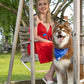 Patriotic Dog Bandana