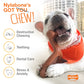 Flavor Frenzy Power Chew Triple Pack