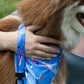 K9 Kayak Dog Bandana & Matching Keychain