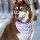 Pink and Blue Tribal Dog Bandana