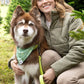 Mossy Pine Waterproof Leash