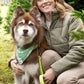 Pine Cone Pup Bandana & Matching Keychain