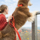 Scarlet Peaks Waterproof Leash
