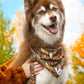 Foxes in Fall Dog Bandana & Matching Keychain