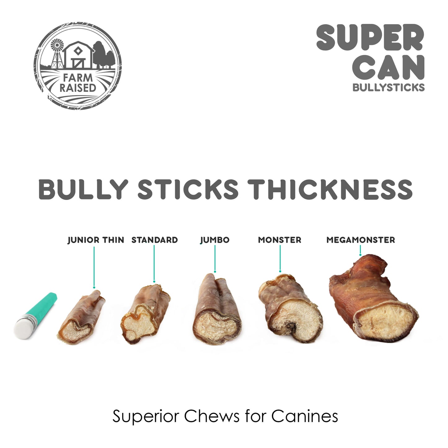 6" Junior Bully Sticks (25 sticks bag)