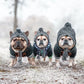 Warm Winter Pet Hat