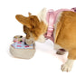 Painted Ladies Nose Work Dog Toy