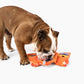 Aloha Nose Work Dog Toy