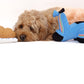 Scooter Pet Plush Toy