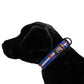 Collars.  Ballistic Solids & Print Designs