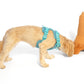 La Tour Eiffel Nose Work Dog Toy / Enrichment Toy