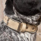 Champagne Fizz Vegan Leather Dog Collar