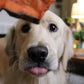 Sweet Potato Chews
