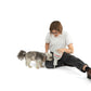 The Six Nose Work Dog Toy