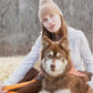 Crimson Glow Waterproof Dog Leash