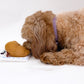 Croissant Nose Work Toy / Enrichment Toy