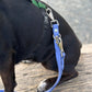 Eurolead - 8 Way Leash