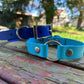 Sport Collar - Biothane
