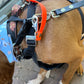 Safety Clip