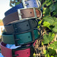 Flat Collars