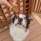 Duck Head