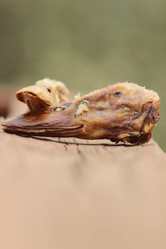 Duck Head