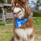 K9 Kayak Dog Bandana & Matching Keychain