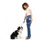 Kismet Dog Leash