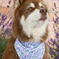 Lavender Blooms Dog Bandana