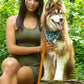 Magical Fern Forest Dog Bandana