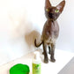 4-ALL PETS EYEWASH