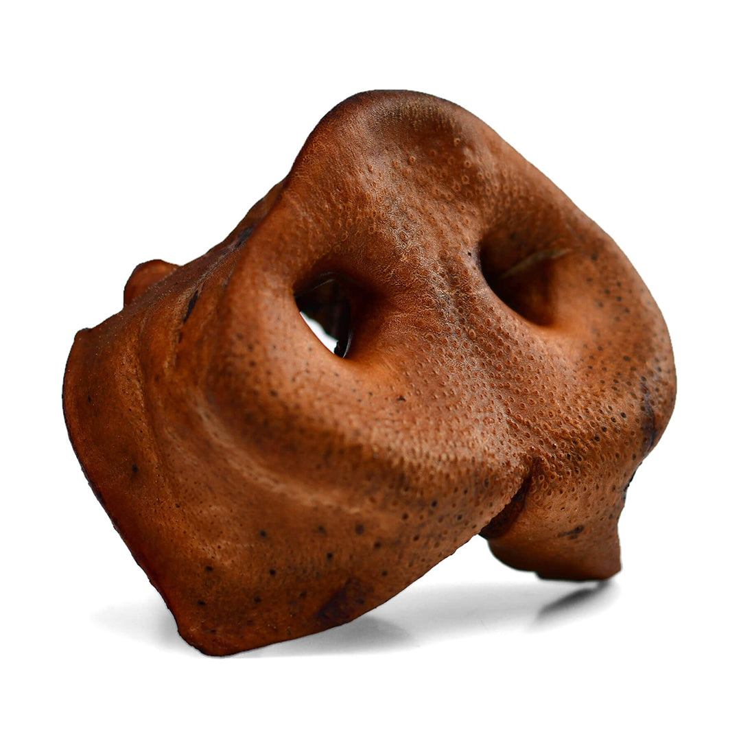 Pork Snouts - 6 Pcs