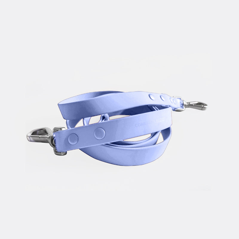 Leash