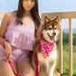 Red Mountain Syrah Dog Bandana & Matching Keychain