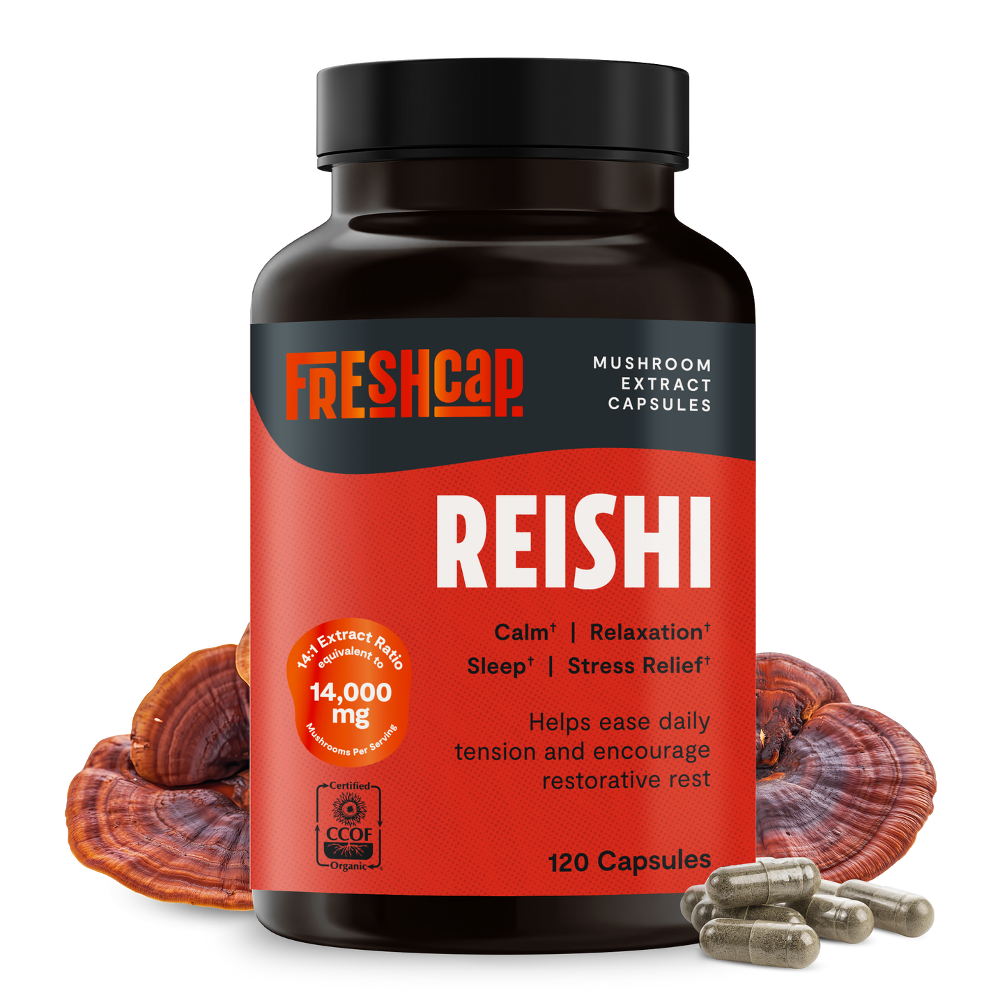 Reishi Mushroom Extract Capsules