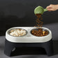 Elevated Food Bowl Pet Bowl Cat and Dog Supplies Leak Proof Pet Food Bowl and Feeder for Small Dogs Cats Pet Feeder Accessories
