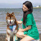 Sea Turtle Swim Dog Bandana