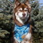 Siberian Spruce Dog Bandana & Matching Keychain
