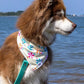 Sun & Shade Dog Bandana & Matching Keychain
