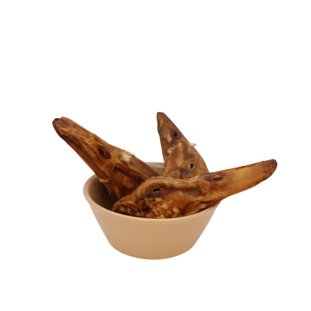 Duck Head