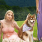 Wildflower Meadow Dog Bandana & Matching Keychain