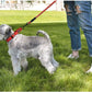 2 Packs Dog Training Collars for Small Medium Large Dogs