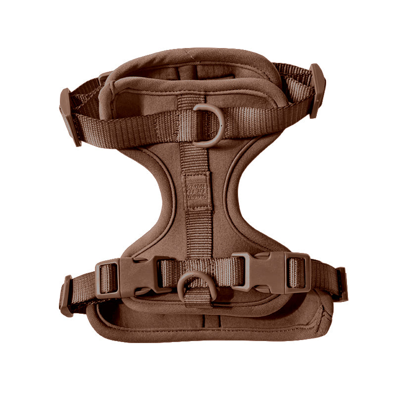 Harness