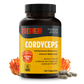 Cordyceps Mushroom Extract Capsules
