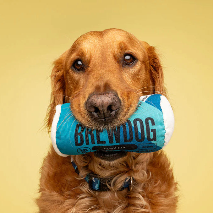 Dog holding a BrewDog can in its mouth against a yellow background